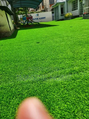 Bring Luxury With Grass Carpet