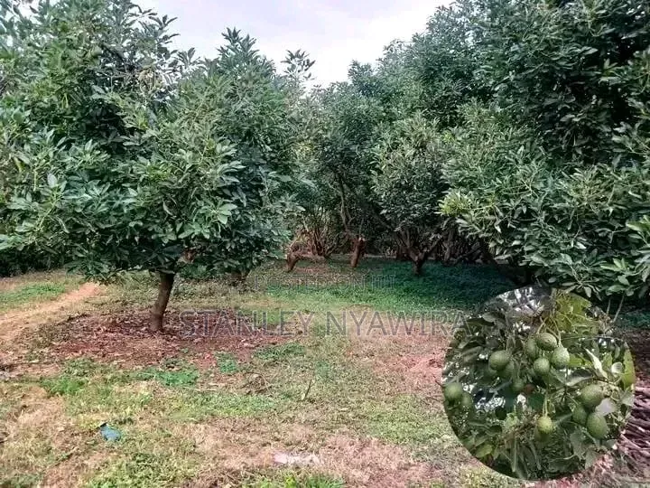 5 Acreas Muranga
