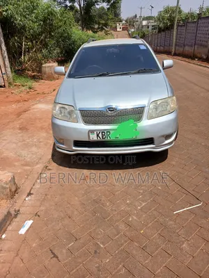 Toyota Corolla Fielder 2006 Silver