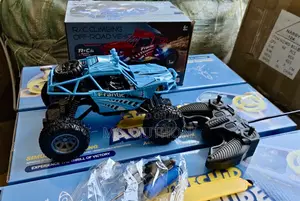 The Frantic R/C Climbing Off-Road Kids Toy Car