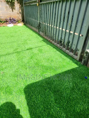 Home Quality With Grass Carpet
