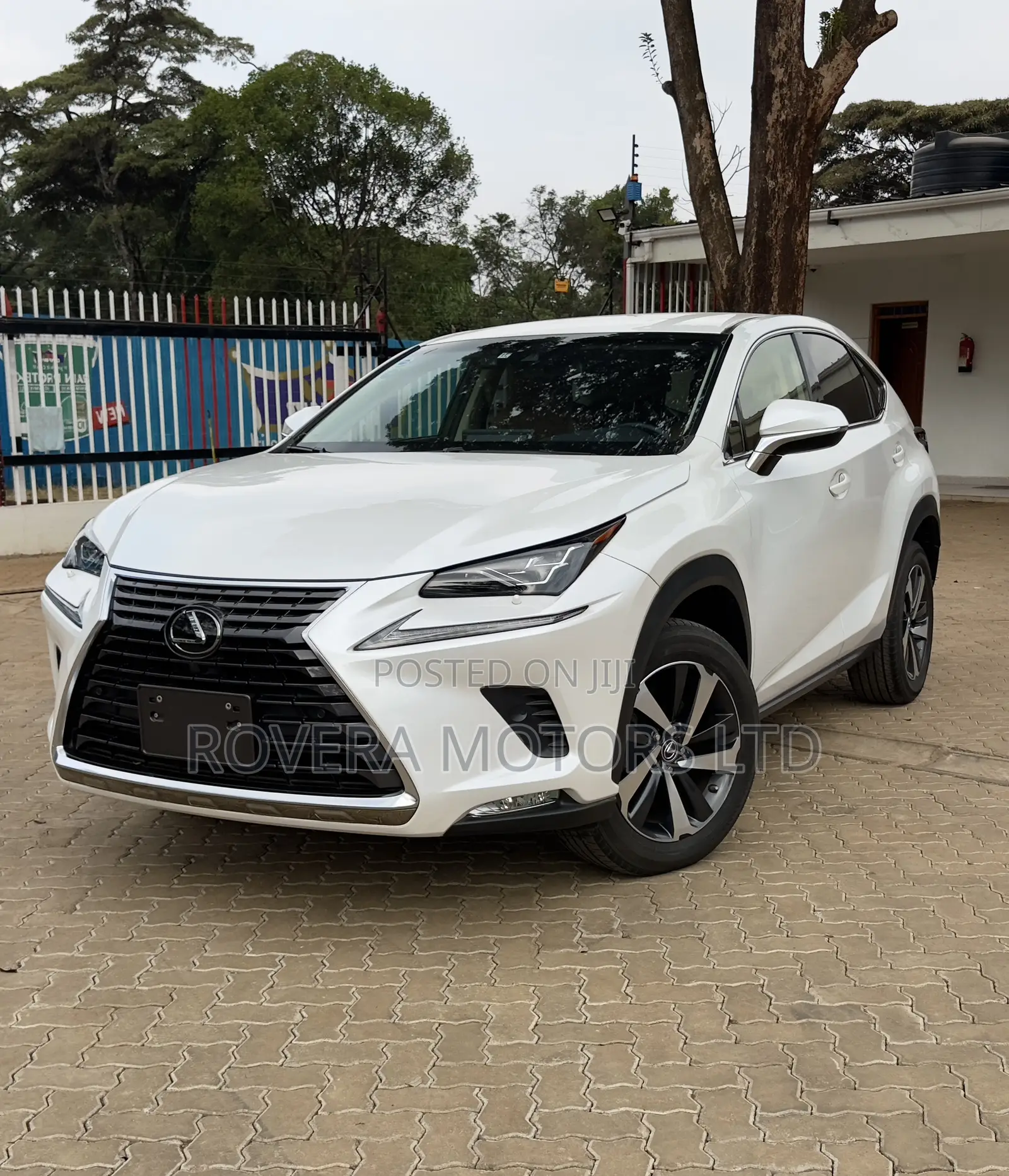 Lexus NX 2017 White