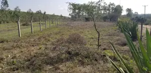 Ongata Rongai, Tuala - Prime Residential 1⁄2 Acre Plot on Sale