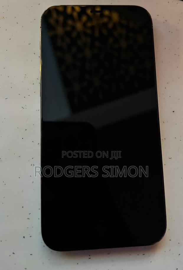 Apple iPhone 12 Pro 128 GB Gray - thumbnail 4