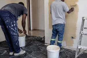 Professional Painting Services