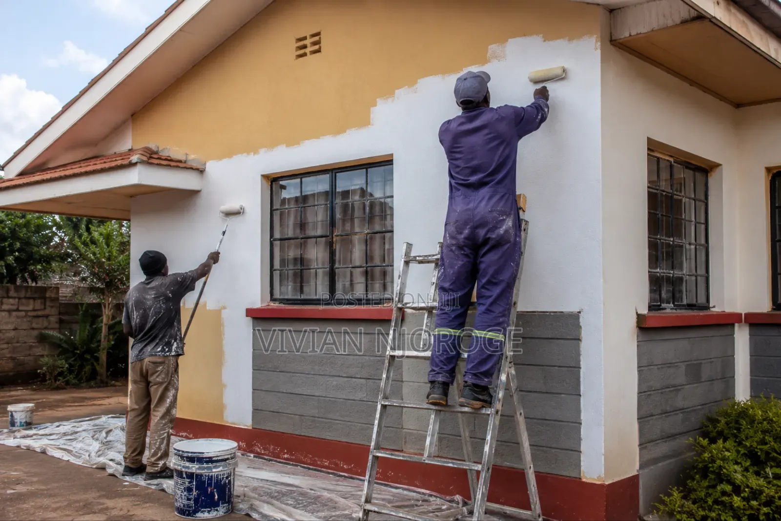 Professional Painting Services