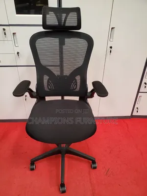 Adjustable Back Ergonomic Chair
