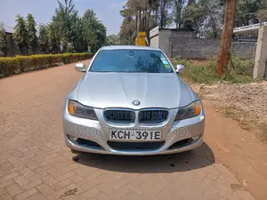 BMW 318i 2009 Silver