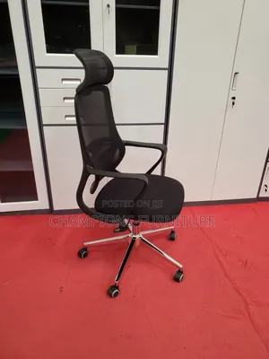 Ergonomic High Back Mesh Chair With Headrest