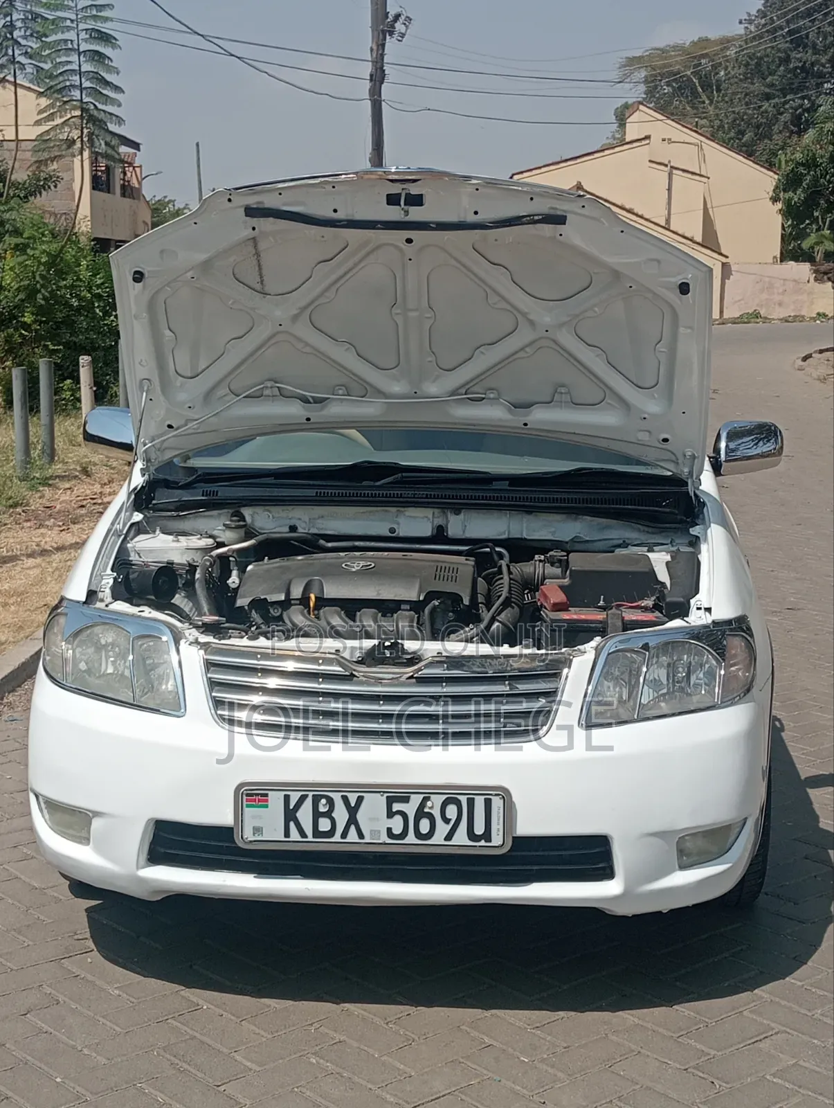 Toyota Corolla 2006 White