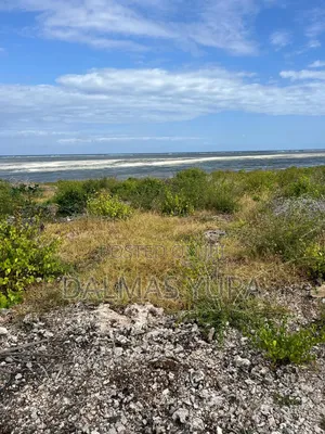 2 Acres on the Beach in Watamu
