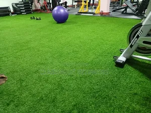 25mm Gym Friendly and Balcony Soft Artificial Grass Carpet