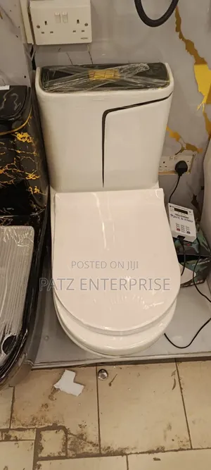 Gold Marble Toilet