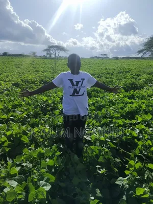 Plot for Sale