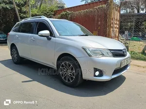 Toyota Corolla Fielder 2013 Silver