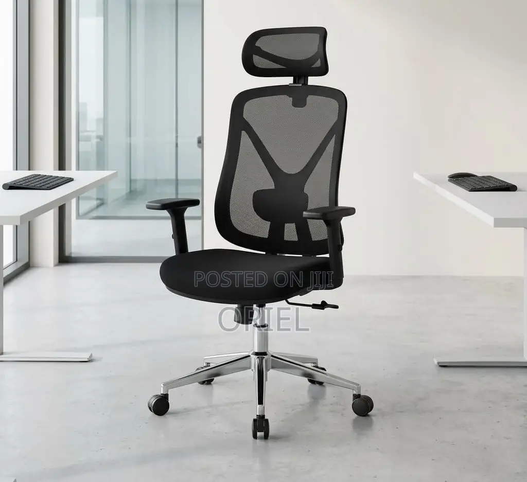 Office Chair : Ergonomic Mesh Task Chair