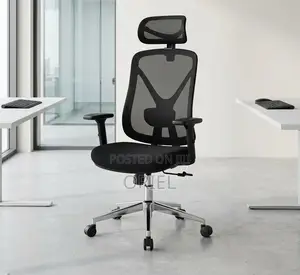 Office Chair : Ergonomic Mesh Task Chair