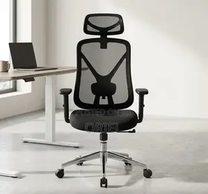 Office Chair : Ergonomic Mesh Task Chair