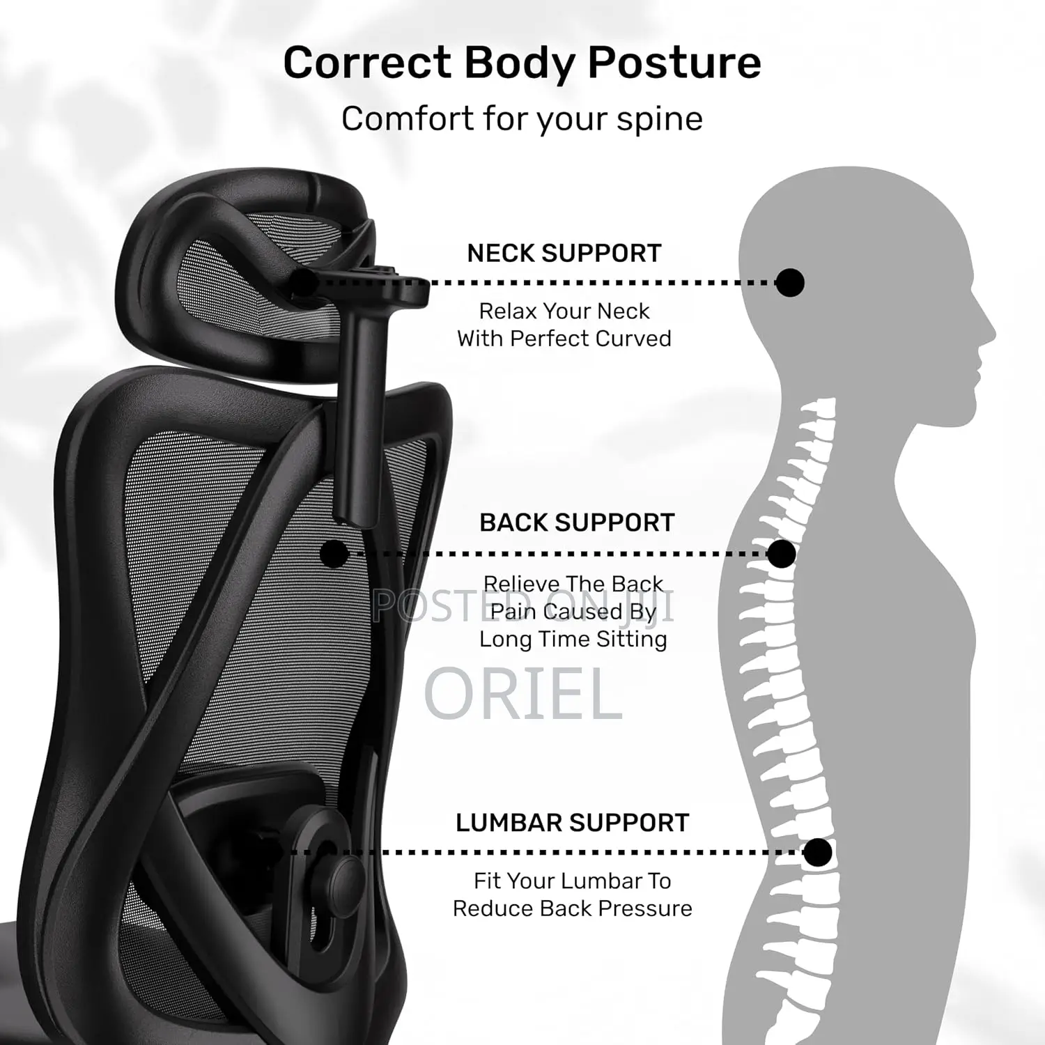 Office Chair : Ergonomic Mesh Task Chair