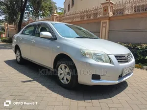 Toyota Axio 2010 Silver