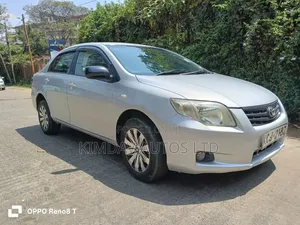 Toyota Axio 2009 Silver