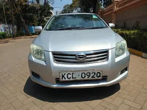 Toyota Axio 2010 Gray
