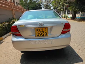 Toyota Axio 2010 Gray