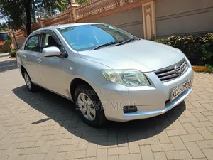 Toyota Axio 2010 Gray