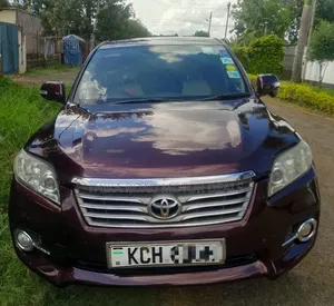 Toyota Vanguard 2009 Purple