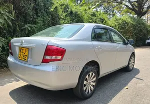 Toyota Axio 2009 Gray