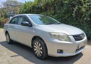 Toyota Axio 2009 Gray