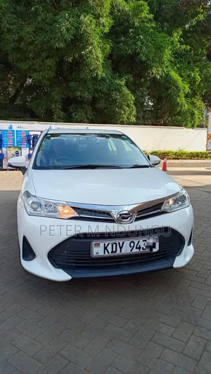 Toyota Axio 2019 White