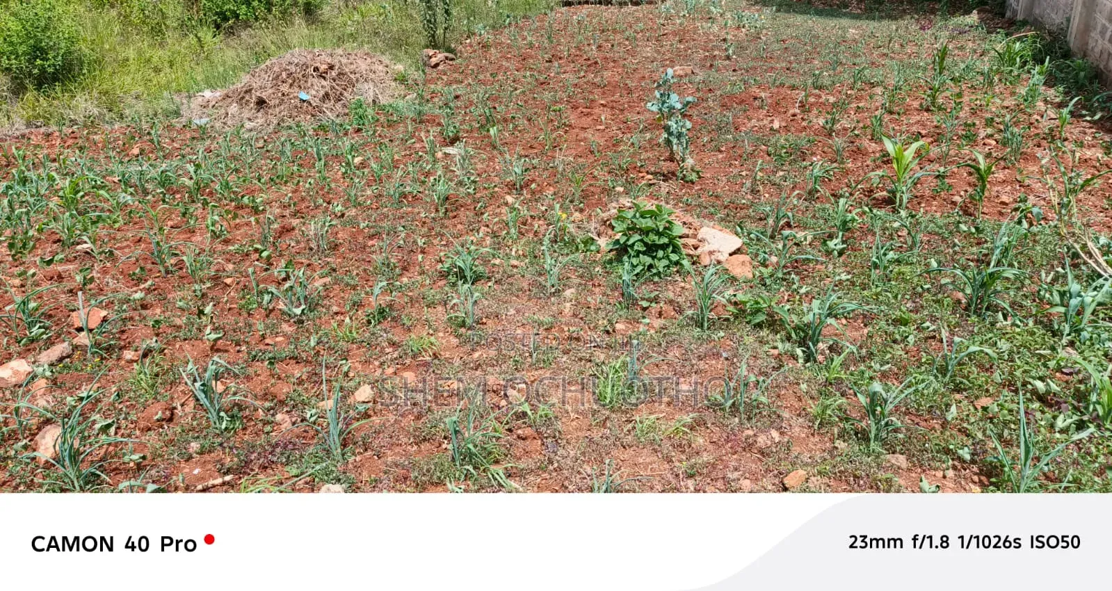 1/4 Acre Plot for Sale in Kerarapon-Ngong