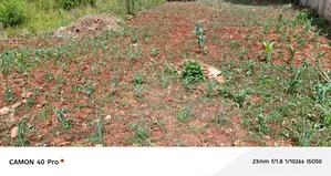 1/4 Acre Plot for Sale in Kerarapon-Ngong