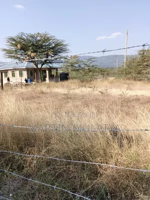 Plot for Sell