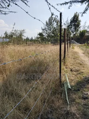 Plot for Sell