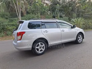 Toyota Corolla Fielder 2011 Silver