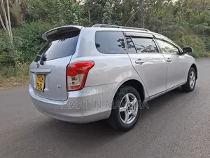 Toyota Corolla Fielder 2011 Silver