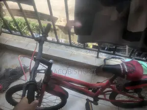 20” Tongjian Kids Bicycle