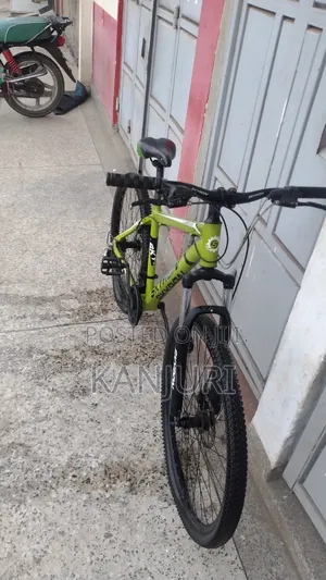 Bikes for Big Boys 27.5