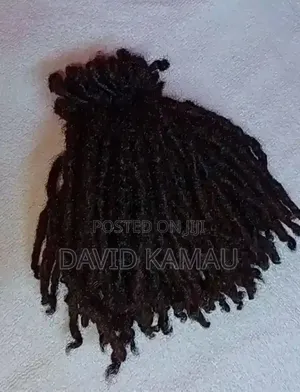 Natural Dreadlocks for Sale and Installation