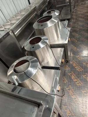 Imported Potato Peeler Machine