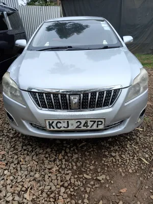 Toyota Premio 2009 Silver