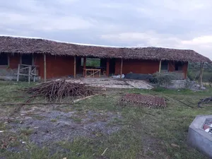 Makuti Roofing at Sekenan Mara