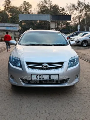 Toyota Corolla Fielder 2010 Silver