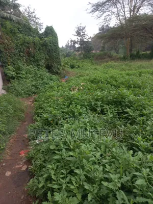 3 Pieces of Half Acre Land for Sale