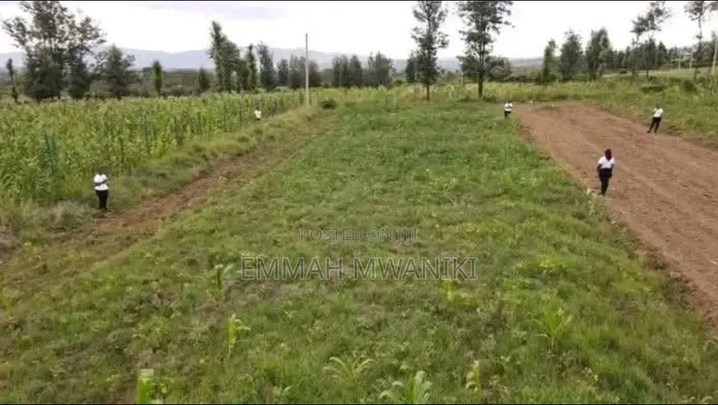 An Eighth Acre