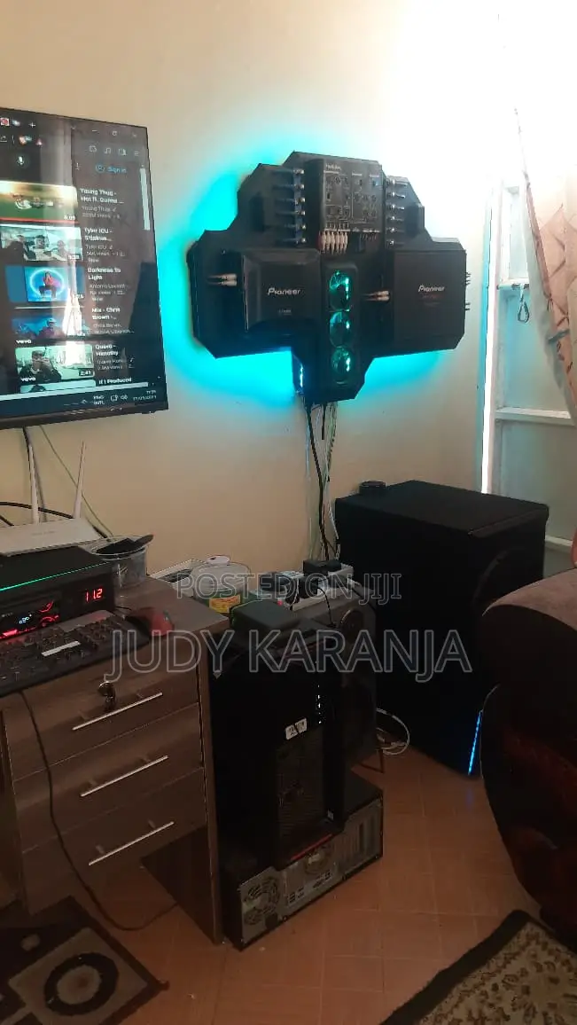 Customized Audio System