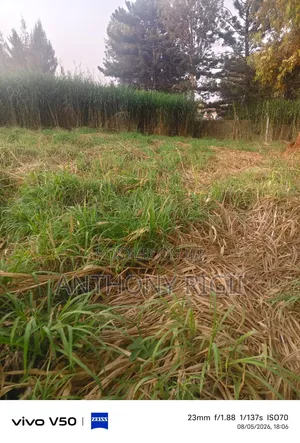 Prime 100×100 Residential / Commercial Land for Sale – Kikuyu Town