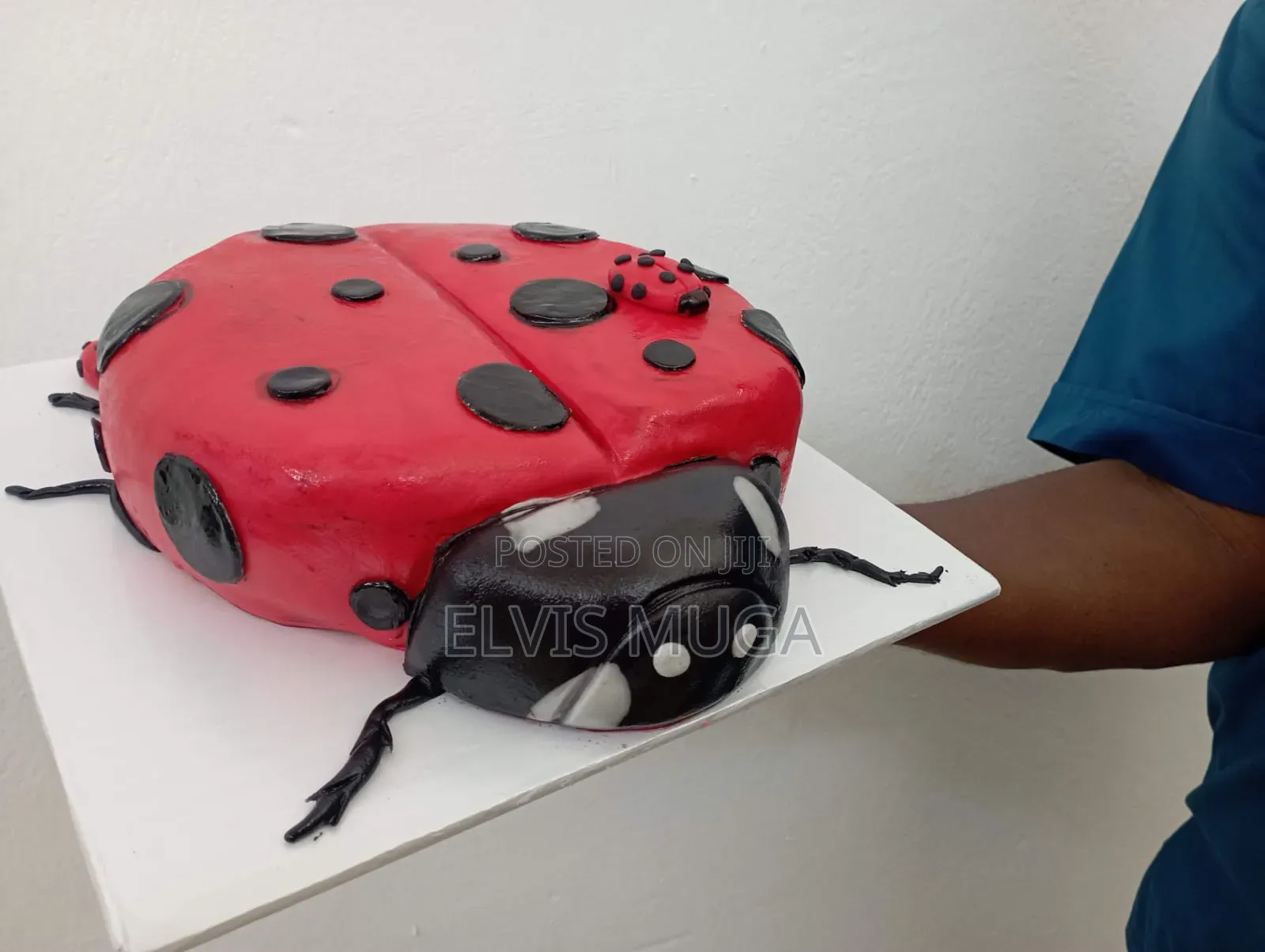 Designer Custom Theme Cakes and Cake Art